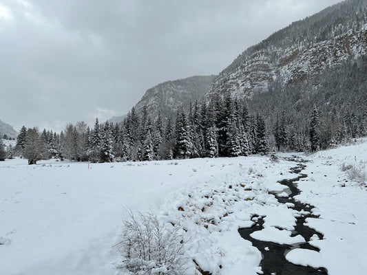 The Forgotten Amendments: XX-XXI