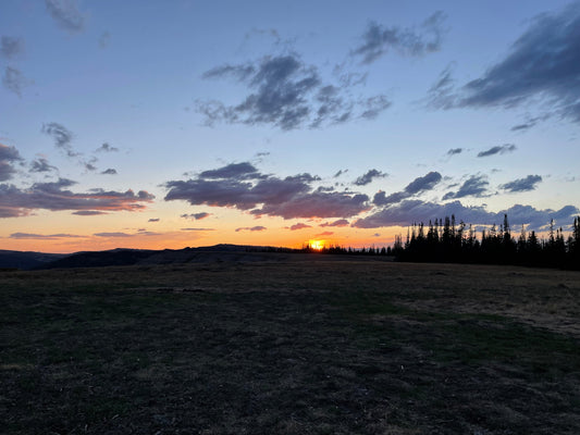 The Forgotten Amendments: XXV-XXVII