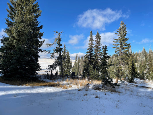 The Forgotten Amendments: XXII-XIV