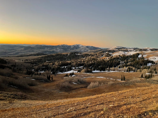 The Forgotten Amendments: Part 1 XI-XII